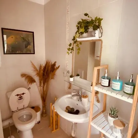 Apartment Seaven, Lozenets