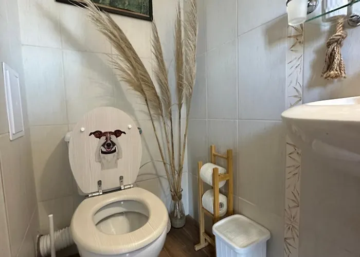 Seaven, Лозенец